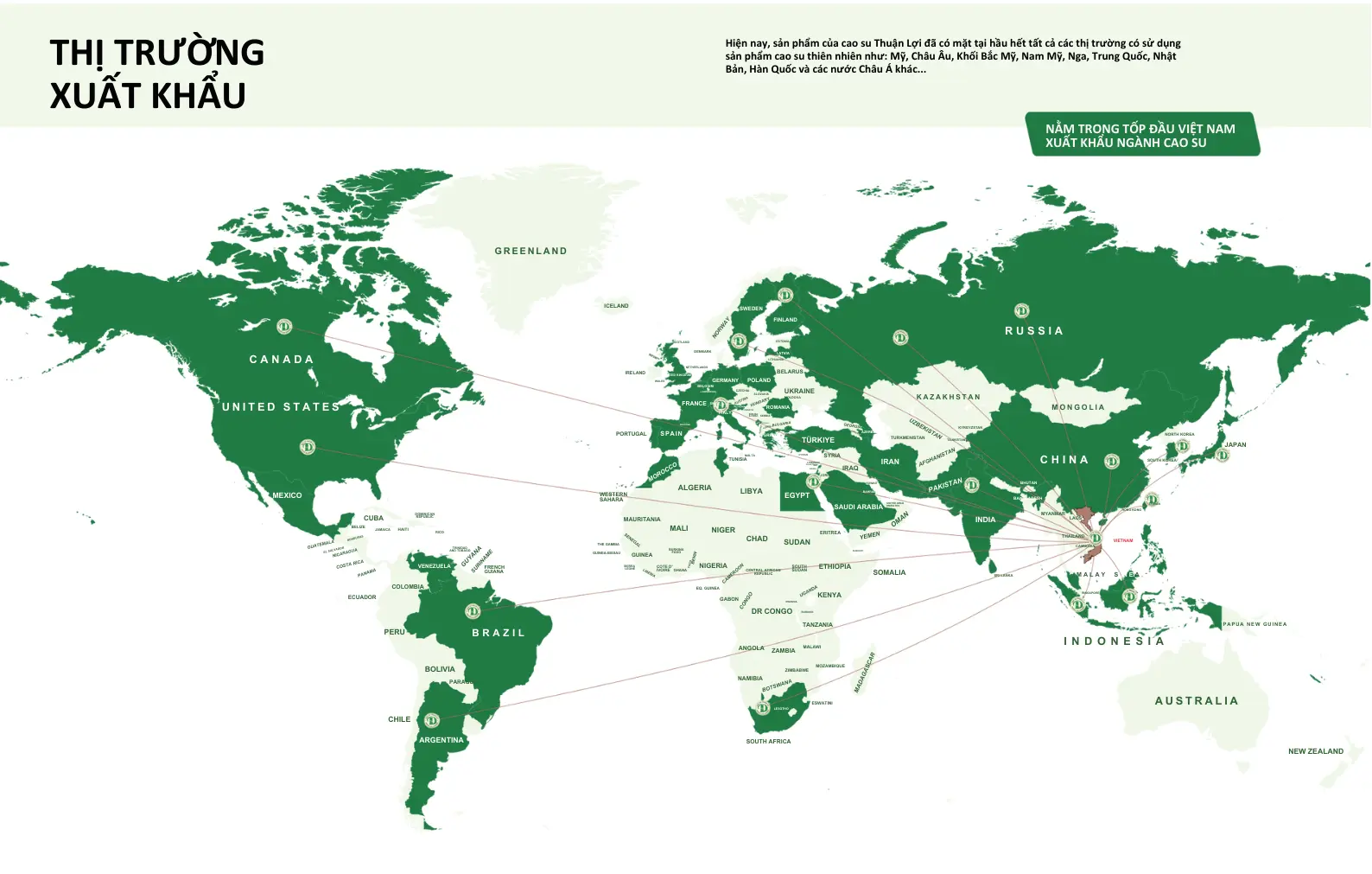 Export Market - Thuan Loi Rubber global reach