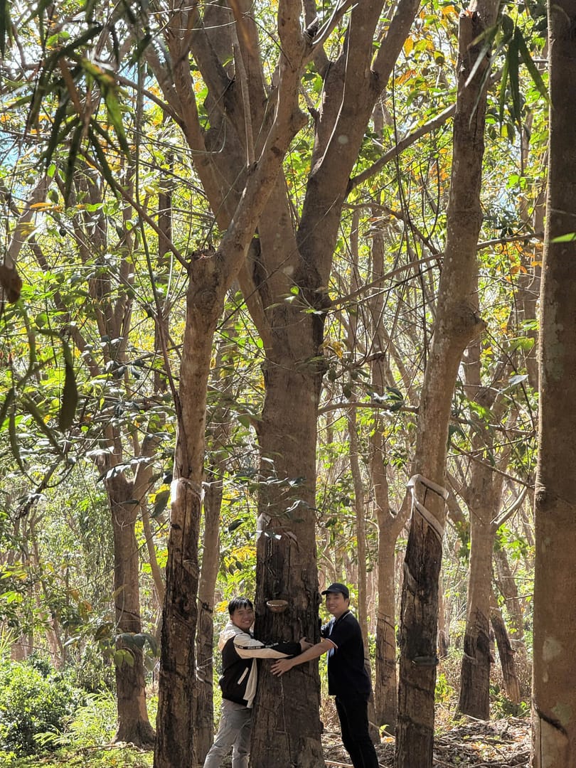 Cam kết bảo vệ môi trường