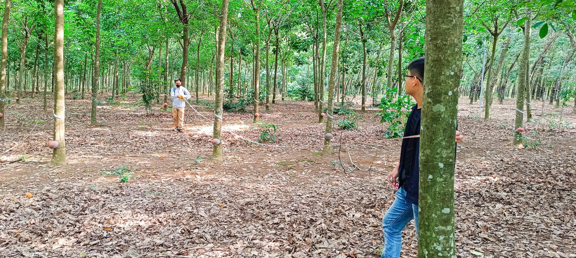 Hoạt động bền vững 4